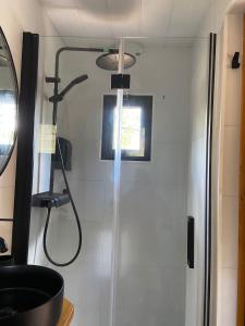 a shower in a bathroom with a glass door at El Roble Glamping - Cabaña Container - Pet Friendly in Lagunilla