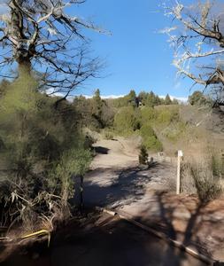 un camino de tierra en medio de un campo en Escapada en pareja en un rincón del bosque, en San Martín de los Andes