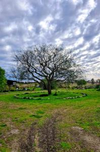 Φωτογραφία από το άλμπουμ του Tierra Magica σε Brandsen