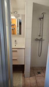 ein Badezimmer mit Dusche und Waschbecken in der Unterkunft Charmant T2 avec terrasse jardin et parking privé, à 2 minutes du centre ville ! in Villeneuve-sur-Lot