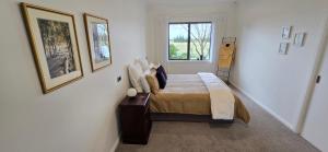 a bedroom with a bed and two pictures on the wall at Mackenzie Country Lodge in Ashwick Flat +29 photos