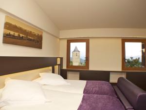 Gallery image of Hotel Mirador in Lles