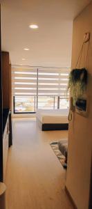 Μια τηλεόραση ή/και κέντρο ψυχαγωγίας στο Amazing loft in Santa Barbara