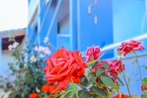Fotografie z fotogalerie ubytování Hotel Nuanti v destinaci Himare