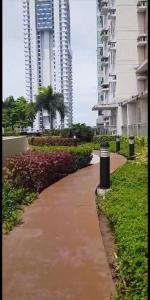 Κήπος έξω από το Metro Cebu IT Park Condo near CBD Downtown