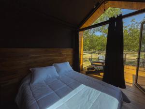 a bedroom with a bed and a large window at Amazing cabin in Samalayuca in Samalayuca