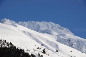 Apart Lurega - inklusive Sommer Card v zime