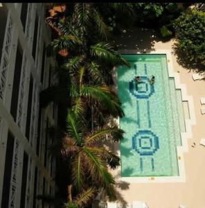 a palm tree next to a swimming pool at Apartaamento en San Andres frente al mar con balcon in San Andrés