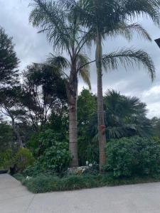 Gallery image of Puka Heights in Pauanui