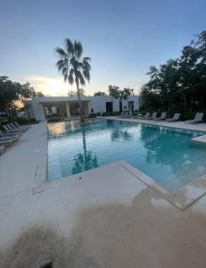 a large swimming pool with chairs and a palm tree at Linda casa in Kulkana Cancun in Cancún