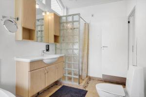 a bathroom with a sink and a toilet and a shower at OH551-Hadsund-Ved-Fruerlund-35 in Hadsund +14 photos