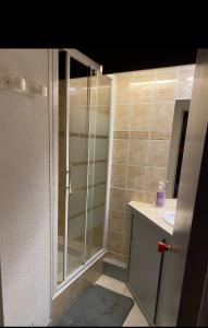 a bathroom with a shower and a sink at Studio la mongie de 33m2 à 150 m des pistes in La Mongie