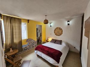 une chambre avec un lit et une chaise dans une pièce dans l'établissement La Casita de Arte, à San Cristóbal de Las Casas