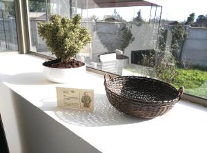 Balkón nebo terasa v ubytování Umawtu Bed and Wine