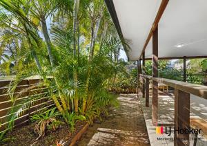 a porch with a fence and a palm tree at River & Reef Retreat in Iluka