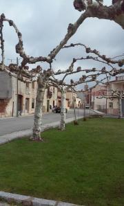 Foto de la galería de Hostal Romi en Cantalejo