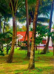 Taman di luar Surf Front +15 gambar