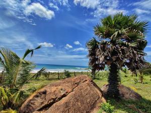 a rock and a tree next to a beach at Lahara - Komari in Ampara +16 photos