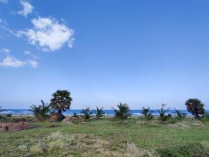 Galería fotográfica de Palu - at The Lighthouse en Ampara