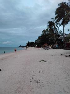 a sandy beach with palm trees and the ocean at Green Salad Hostel in Ban Bang Po