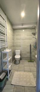 a bathroom with a toilet and a sink and a shower at Dom Wakacyjny Koralowa 16, Osieki Zachodniopomorskie in Osieki