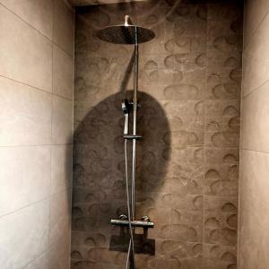 a shower in a bathroom with a stone wall at Le bain nordique du lynx boréal in Entre-Deux-Monts +34 photos