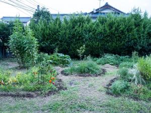 a garden with bushes and flowers in a yard at Gracciaso in Aso