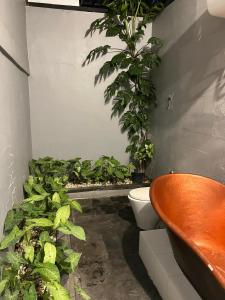 Φωτογραφία από το άλμπουμ του Casavina house 202 σε Dalung