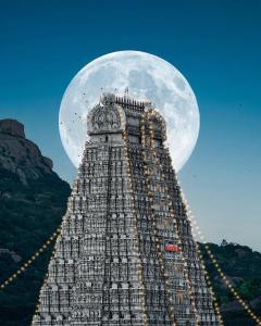 Et lokalt vartegn tæt på lejligheden