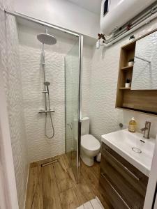 a bathroom with a shower and a toilet and a sink at Studette tout équipée centre ville de Nice in Nice +2 photos