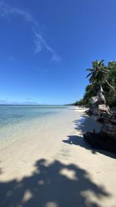 a sandy beach with a palm tree and the ocean at Coral Coast Beachfront Homestay Room 1 in Korolevu +59 photos
