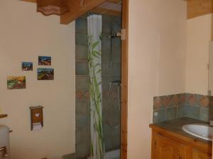 a bathroom with a shower with a plant in it at Campagne de Pré Grand in Saint-Étienne-les-Orgues