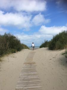 Naturlandskabet i nærheden af feriehuset