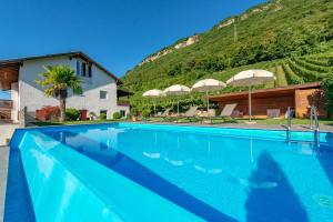 a swimming pool in front of a house with a mountain at Tholr - Ferienwohnungen - Tramin in Termeno