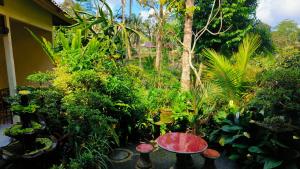 a garden with a table and many plants at Rumah Irak et Kadek Bali in Ubud