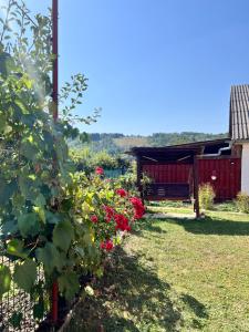 a garden with red flowers and a bench at Cozy, country house in Vizantea-Mînăstirească