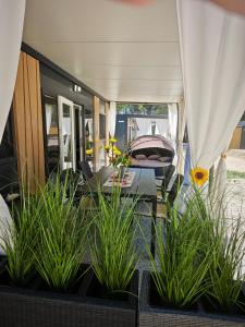 Fotografie z fotogalerie ubytování Borka v Pakoštane