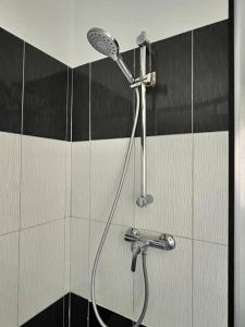 a shower in a bathroom with black and white tiles at Cozy, country house in Vizantea-Mînăstirească +42 photos