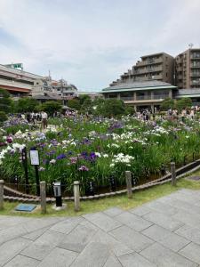 En have udenfor Realization INN Horikiri