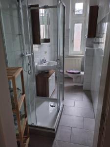 a bathroom with a shower and a sink and a toilet at Ferienwohnung in Fürstenberg an der Havel in Fürstenberg-Havel