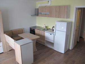 Kuchyň nebo kuchyňský kout v ubytování Orissaare Apartment