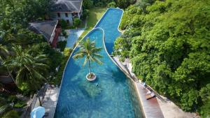 une vue aérienne d'une grande piscine avec un palmier dans l'établissement Narada Resort & Spa Qixian Mount, à Baoting