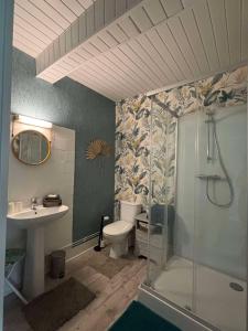 a bathroom with a shower and a toilet and a sink at LA MONGEARDIERE in Ay