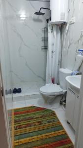 une salle de bains avec toilettes et lavabo dans l'établissement Tims cottage, à Karakol