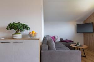 a living room with a couch and a tv at Haus Silvia in Werfenweng