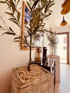 TV a/nebo společenská místnost v ubytování Sicilia Vacation