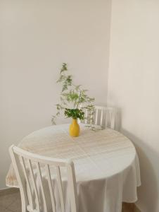 Φωτογραφία από το άλμπουμ του Regency House Accoglienza σε Portici