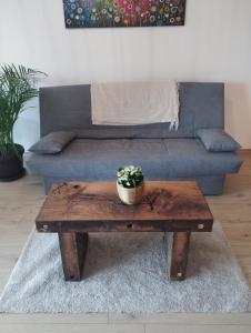 Φωτογραφία από το άλμπουμ του Bellevue relax Apartment σε Žetale +19 φωτογραφίες