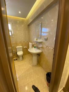 Un baño pequeño con inodoro y lavabo. en Alrehab Cheapest and awesome, en Burg el-Ḥudûd 23 fotos más