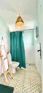 a bathroom with a green shower curtain and a toilet at App 3 min from the ferry passenger terminal Tanger Med in El Haouma